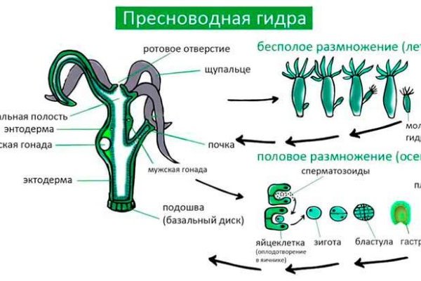 Ссылка на кракен в тор на сегодня