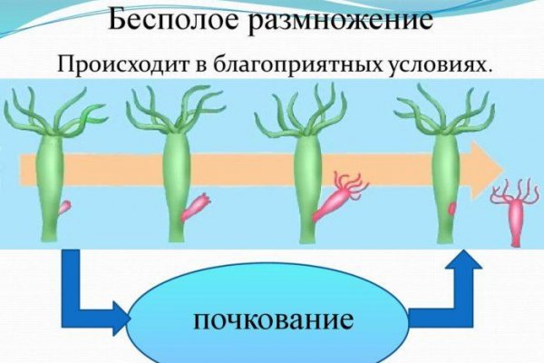 Как найти официальный сайт кракен